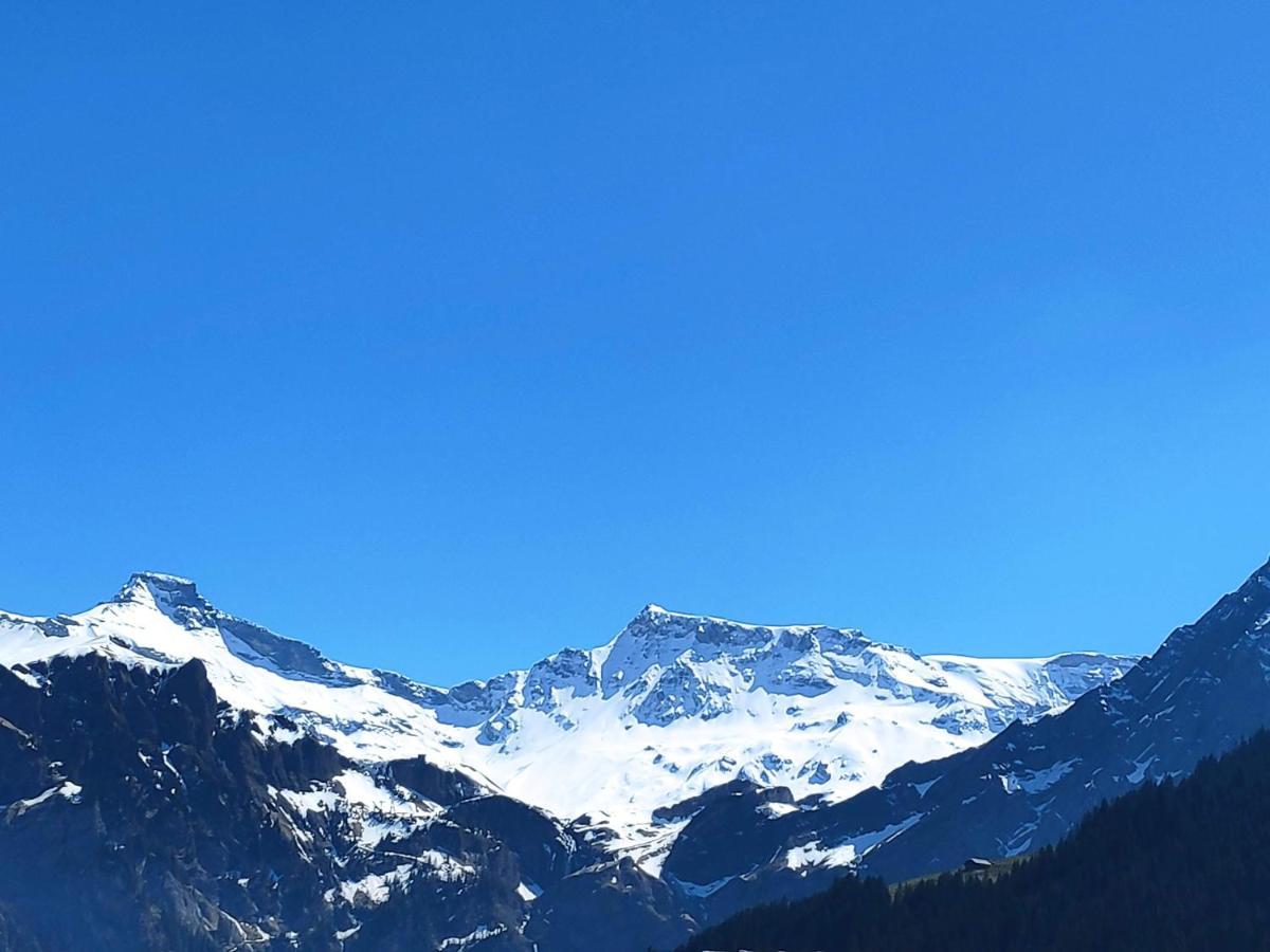 Chuenislodge2- Zwei Balkone, Gemuetlicher Kamin, Top Aussicht Adelboden Exteriör bild